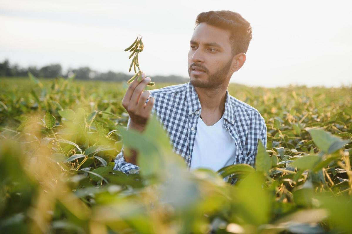 Regenerative Agriculture: A Path to Sustainable Food Systems